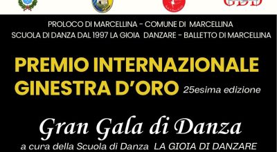 immagine dell'articolo