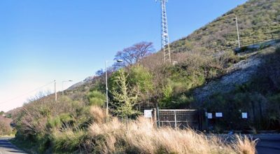 immagine dell'articolo