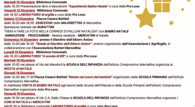 immagine dell'articolo