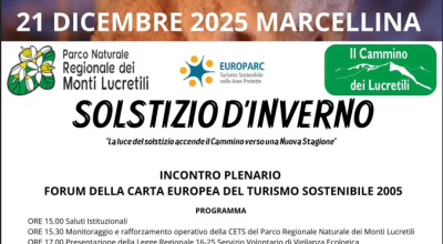 immagine dell'articolo