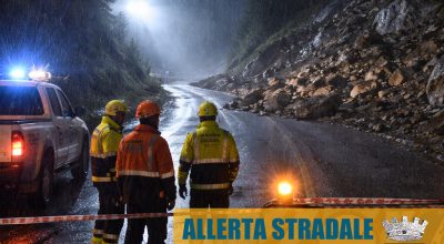 immagine dell'articolo