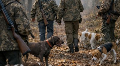 immagine dell'articolo