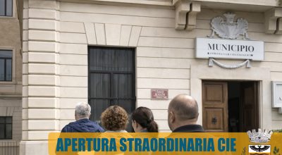 immagine dell'articolo