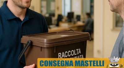 immagine dell'articolo