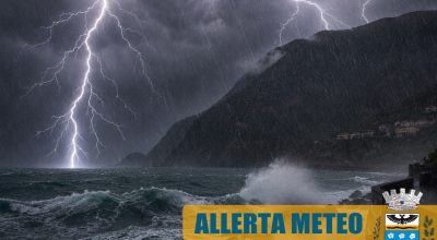 immagine dell'articolo