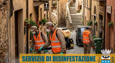 immagine dell'articolo