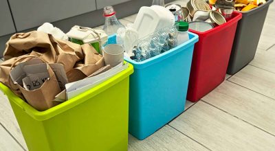 immagine dell'articolo