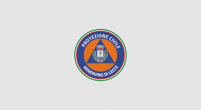 immagine dell'articolo