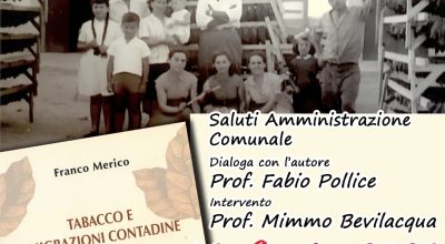 immagine dell'articolo