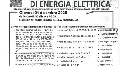 immagine dell'articolo