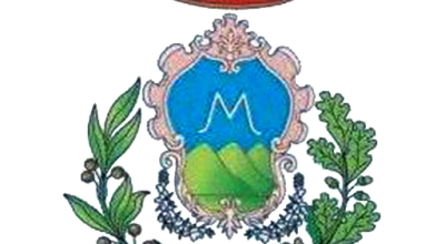 immagine dell'articolo