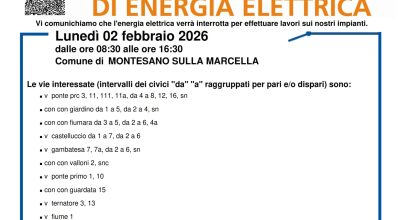 immagine dell'articolo