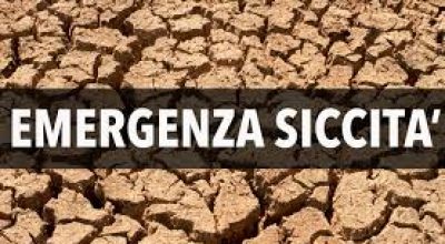 immagine dell'articolo