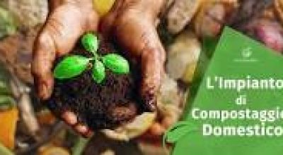 immagine dell'articolo