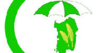 immagine dell'articolo