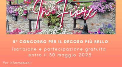 immagine dell'articolo