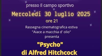 immagine dell'articolo