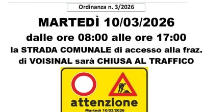 immagine dell'articolo