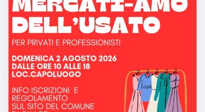 immagine dell'articolo
