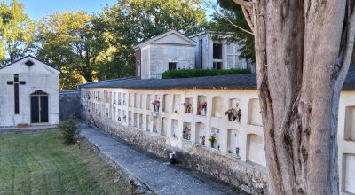 immagine dell'articolo