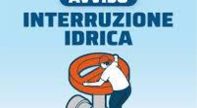 immagine dell'articolo