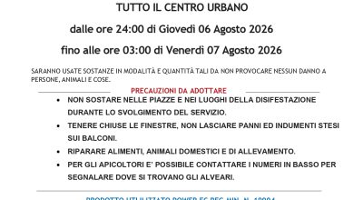 immagine dell'articolo