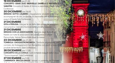 immagine dell'articolo