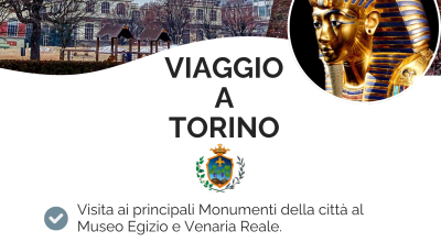 immagine dell'articolo