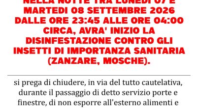 immagine dell'articolo