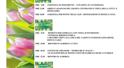 immagine dell'articolo