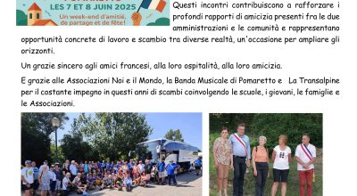 immagine dell'articolo