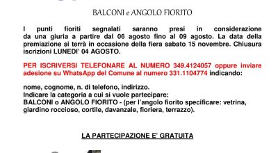 immagine dell'articolo