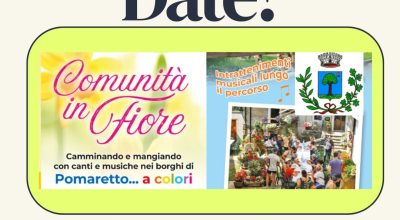 immagine dell'articolo
