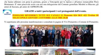 immagine dell'articolo