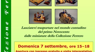 immagine dell'articolo