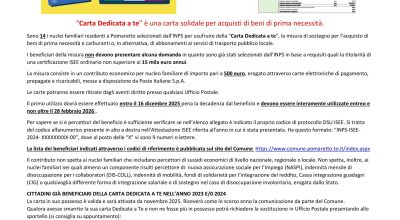 immagine dell'articolo