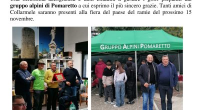 immagine dell'articolo