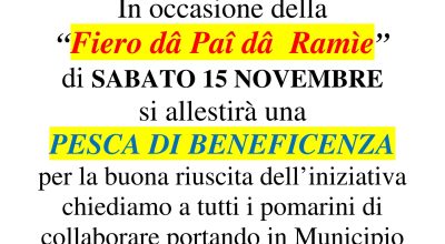 immagine dell'articolo