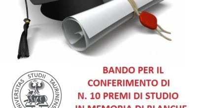 immagine dell'articolo