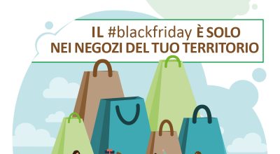 immagine dell'articolo