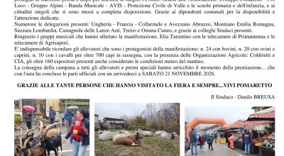 immagine dell'articolo