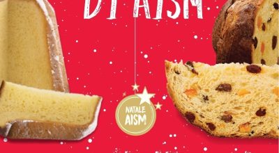 immagine dell'articolo