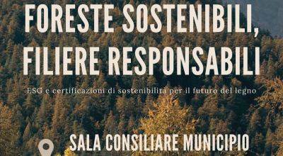 immagine dell'articolo