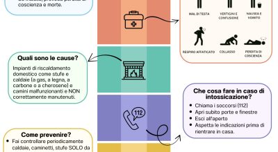 immagine dell'articolo