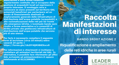 immagine dell'articolo