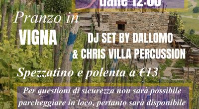 immagine dell'articolo