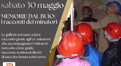 immagine dell'articolo