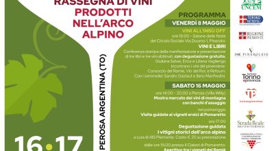 immagine dell'articolo