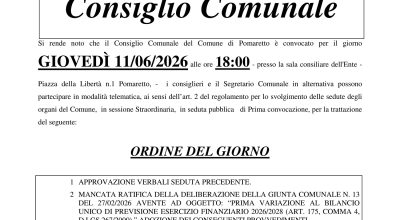immagine dell'articolo