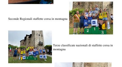 immagine dell'articolo